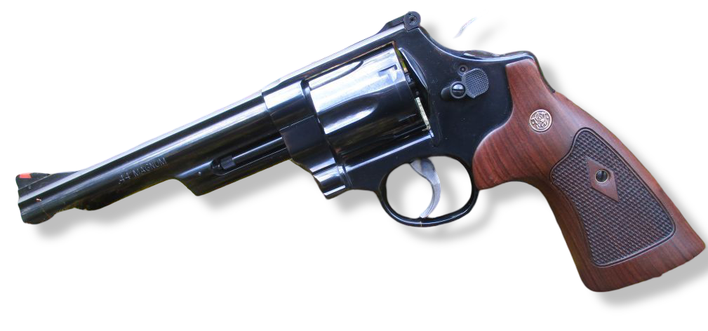 Model_29